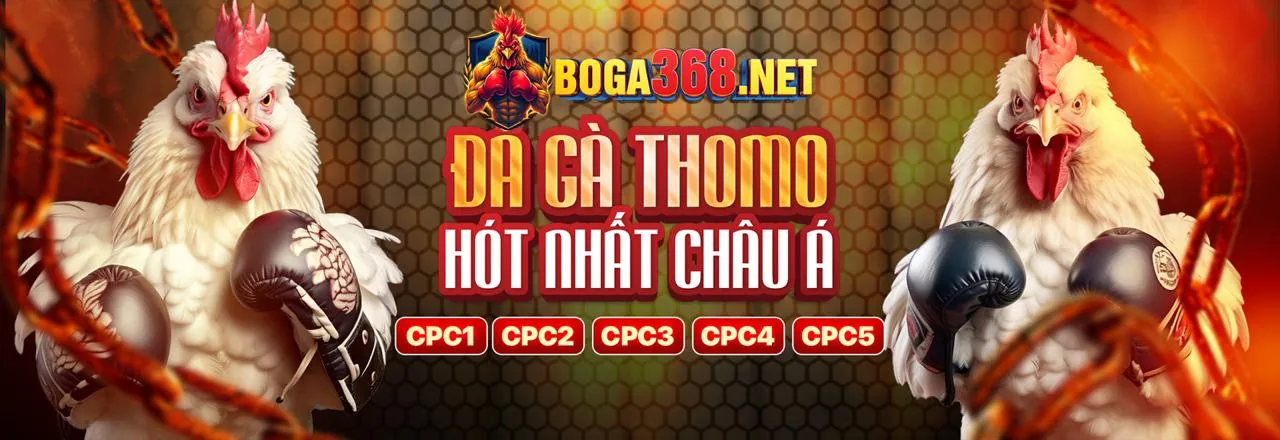Sân đá gà trực tuyến tại tải g666 win